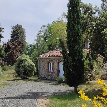 Chateau La Villatade Salleles-Cabardes Exterior photo